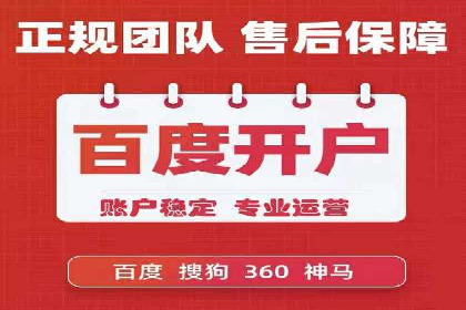 谷歌SEM案例研究：数据分析与效果评估